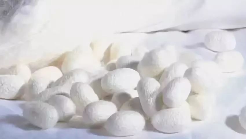 会呼吸的冰丝裤男装,会呼吸的男士休闲裤