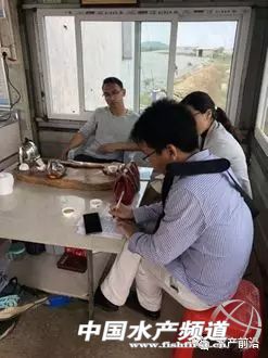 通威最新发布消息,通威降价对下游有什么影响