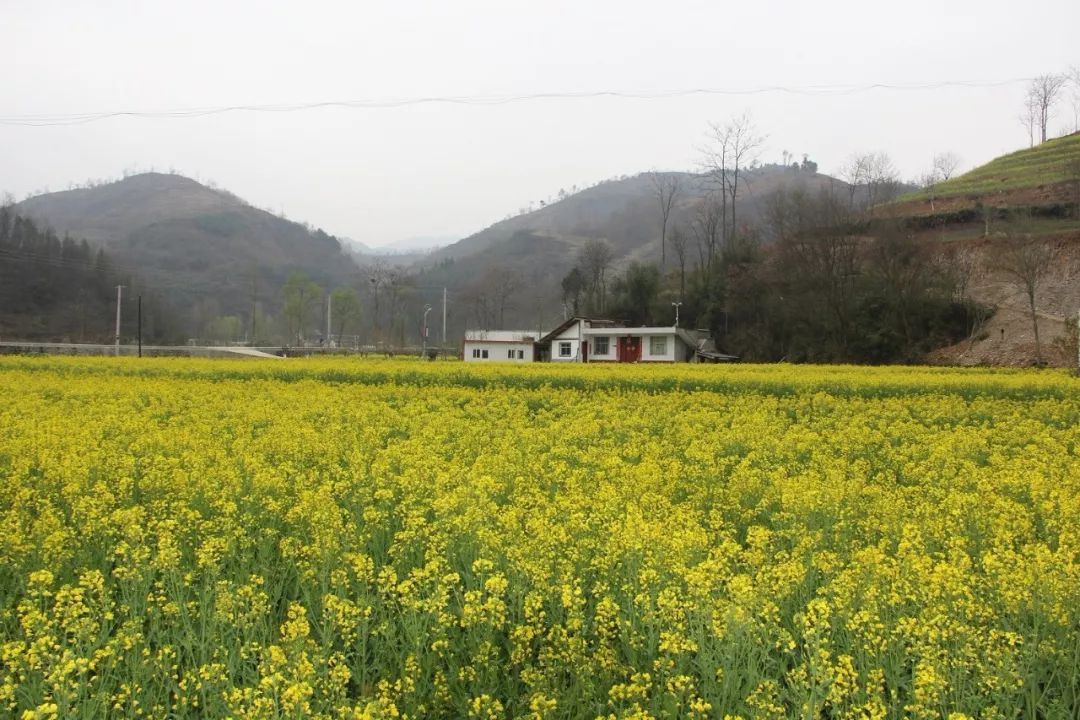 康县自驾游最新消息,康县旅游攻略自由行
