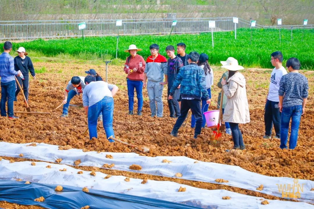 华中农业大学校园到底有多美,华中农业大学园艺林学院