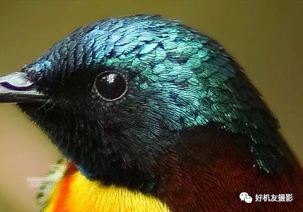 拍出的效果没有实物效果,拍出质感照片