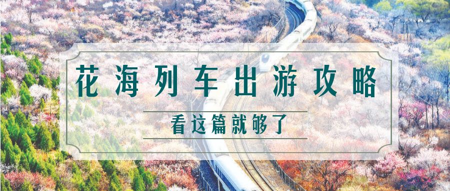 小长假免费机票全攻略,小长假必备软件