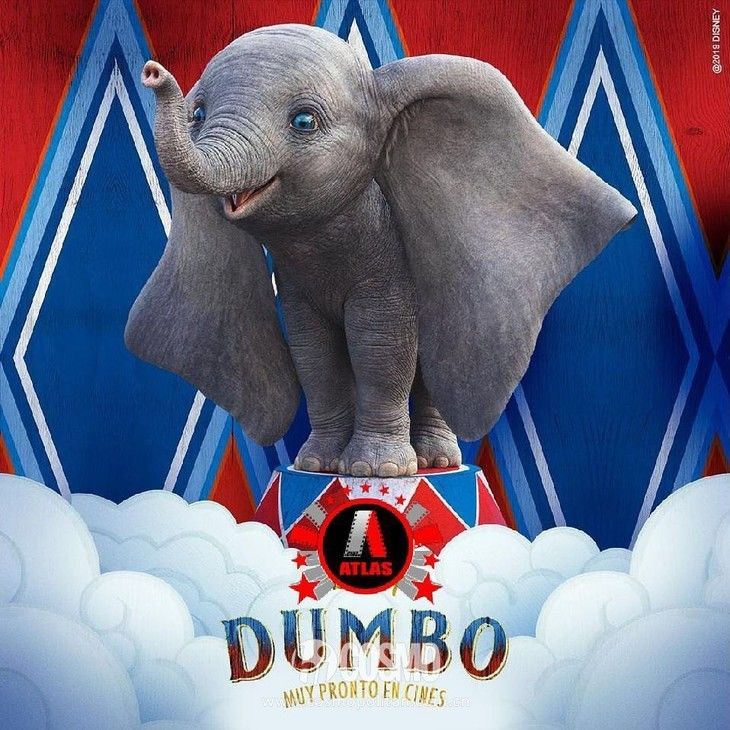 周迅香奈儿高定,周迅种草四件套