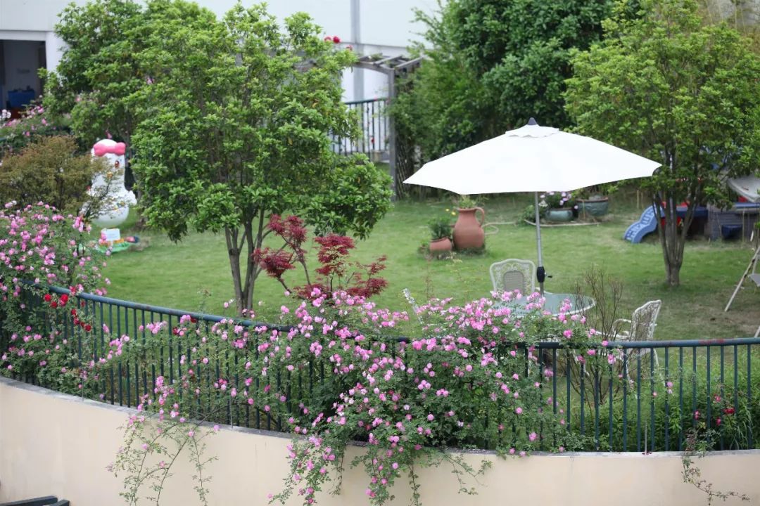 海量美图100张,海量高清美图