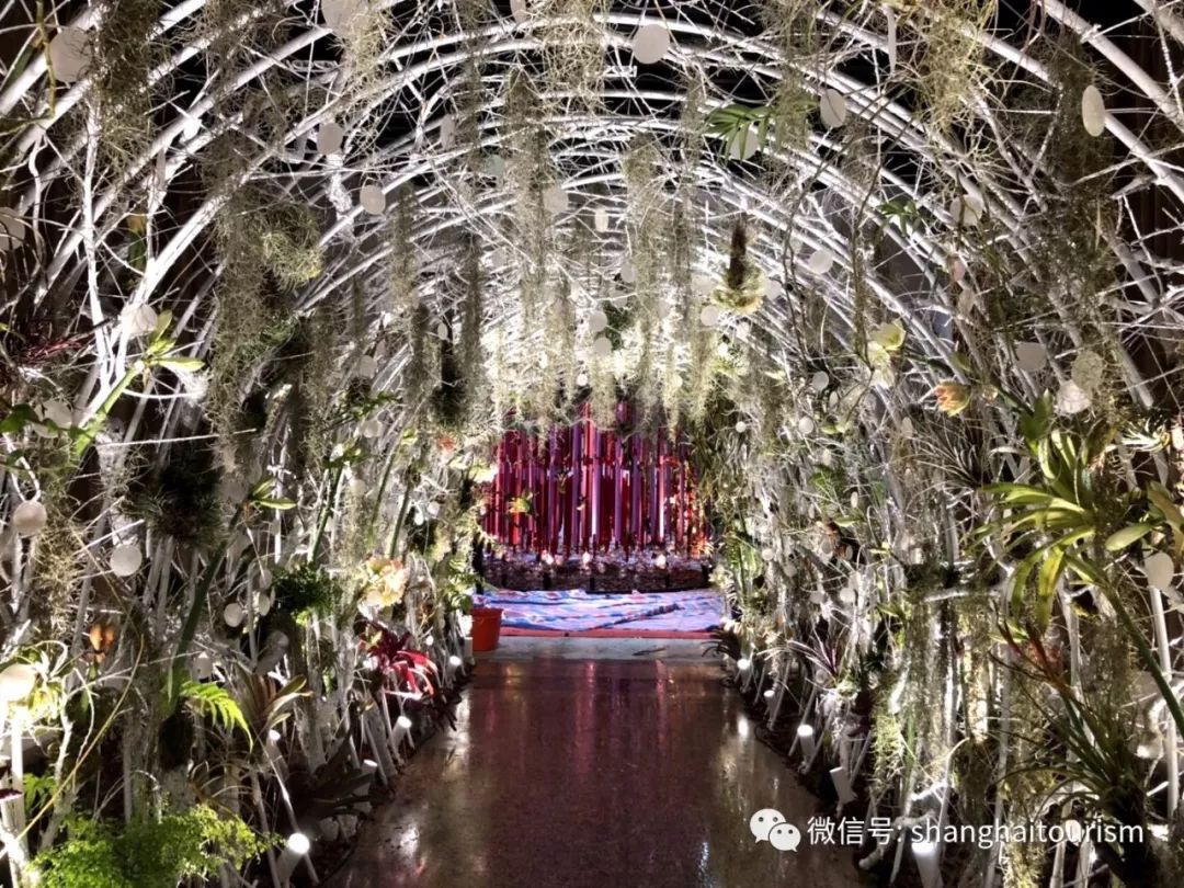 探索上海的特色景点,探索上海旅游景点和美食推荐