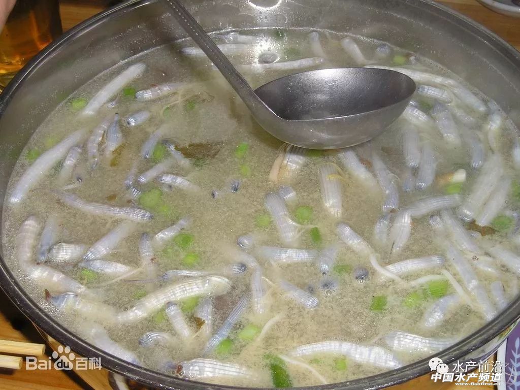 虾的养殖1亩利润有多少,虾价低迷