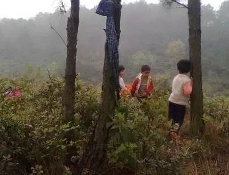 扫墓别拍肩膀,清明扫墓可以拍墓吗