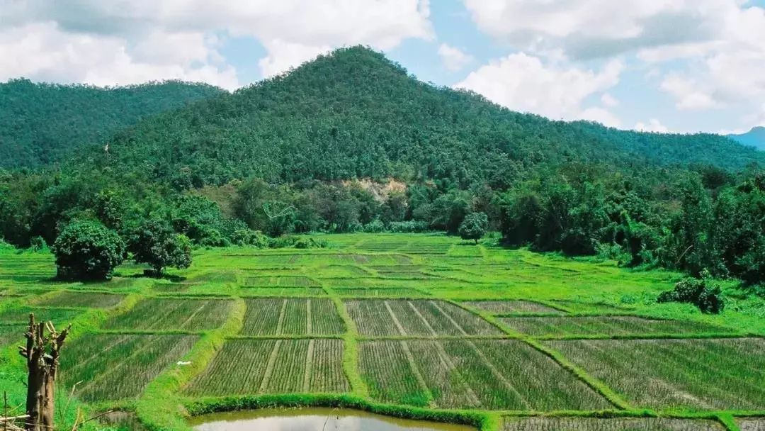 实用性村庄规划编制流程,村庄规划编制亮点做法