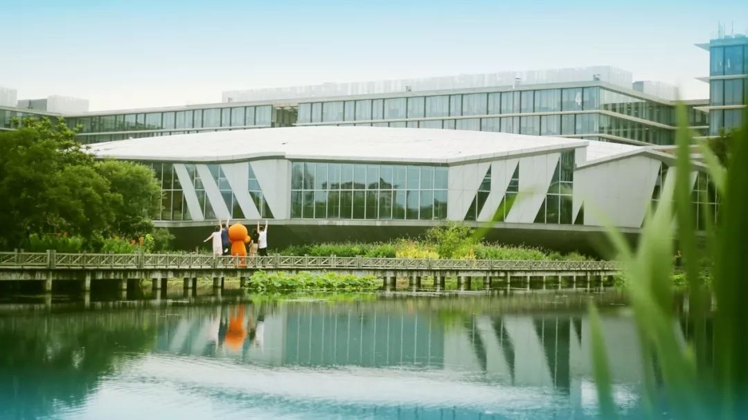 神秘的「阿里星」是怎样一群年轻人?