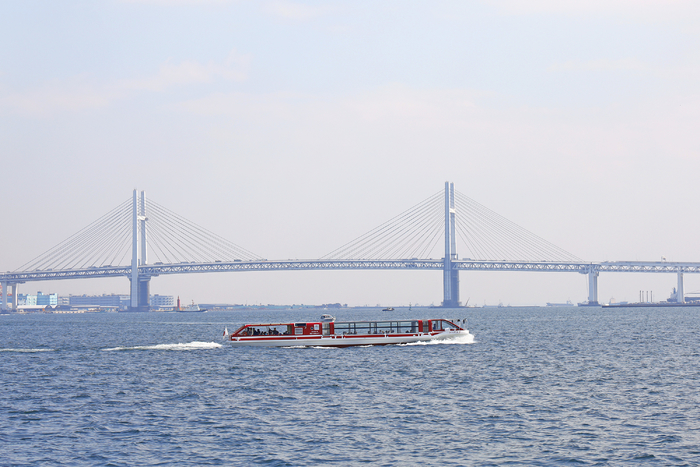 2022全画幅入门微单相机推荐,eosrp全幅相机