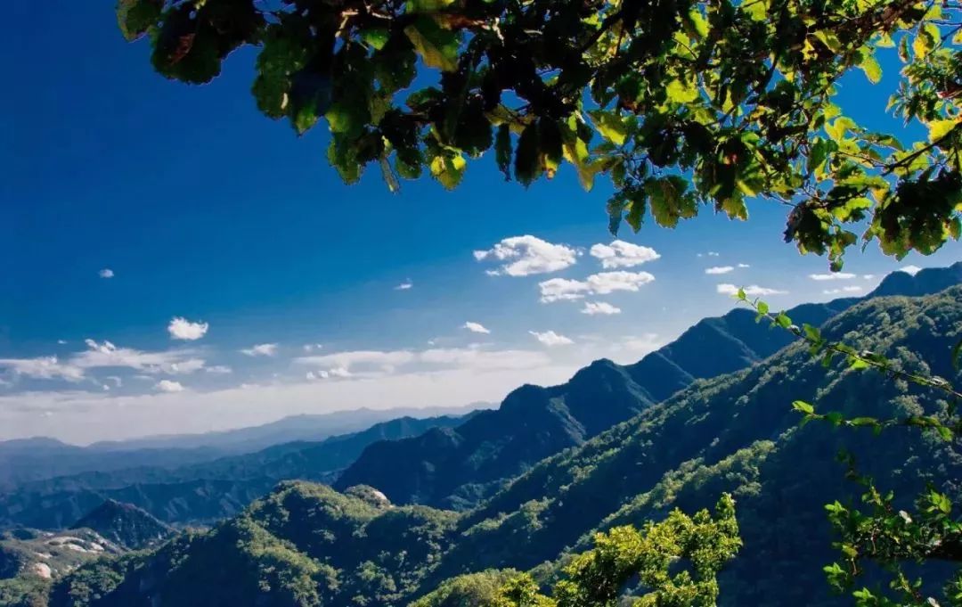 免票或半价！全国几百个景区集体降价，河南有这些…千万别错过！