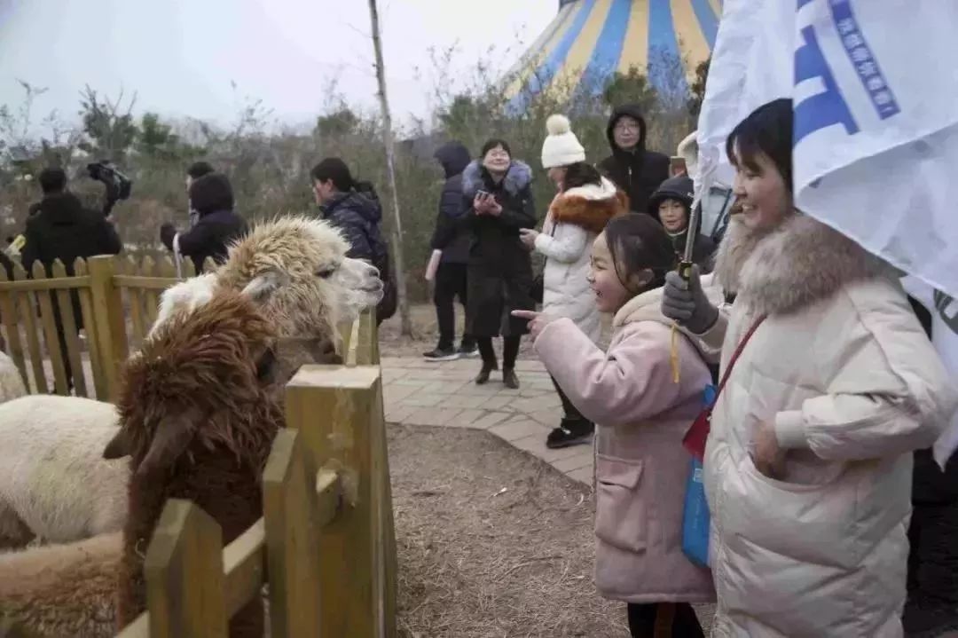 免票或半价！全国几百个景区集体降价，河南有这些…千万别错过！