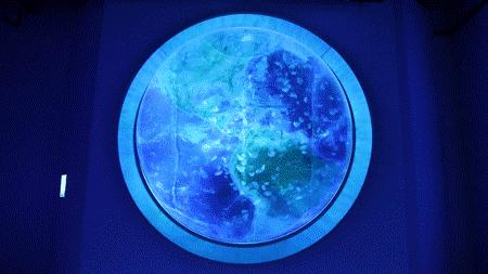 温州海洋馆购票须知,温州海洋馆卡