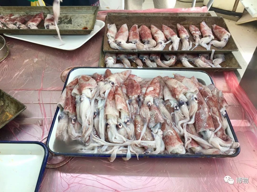 鱿鱼体内的塑料片是什么,鱿鱼里的透明塑料片是什么