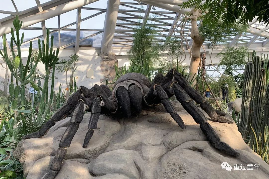 西安一个很有特色的公园,西安十大免费景区公园