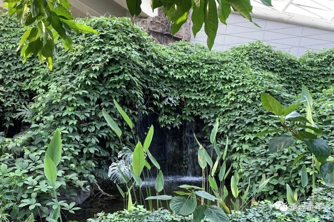 西安一个很有特色的公园,西安唯一要门票的公园