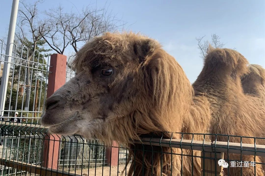 西安一个很有特色的公园,西安唯一要门票的公园