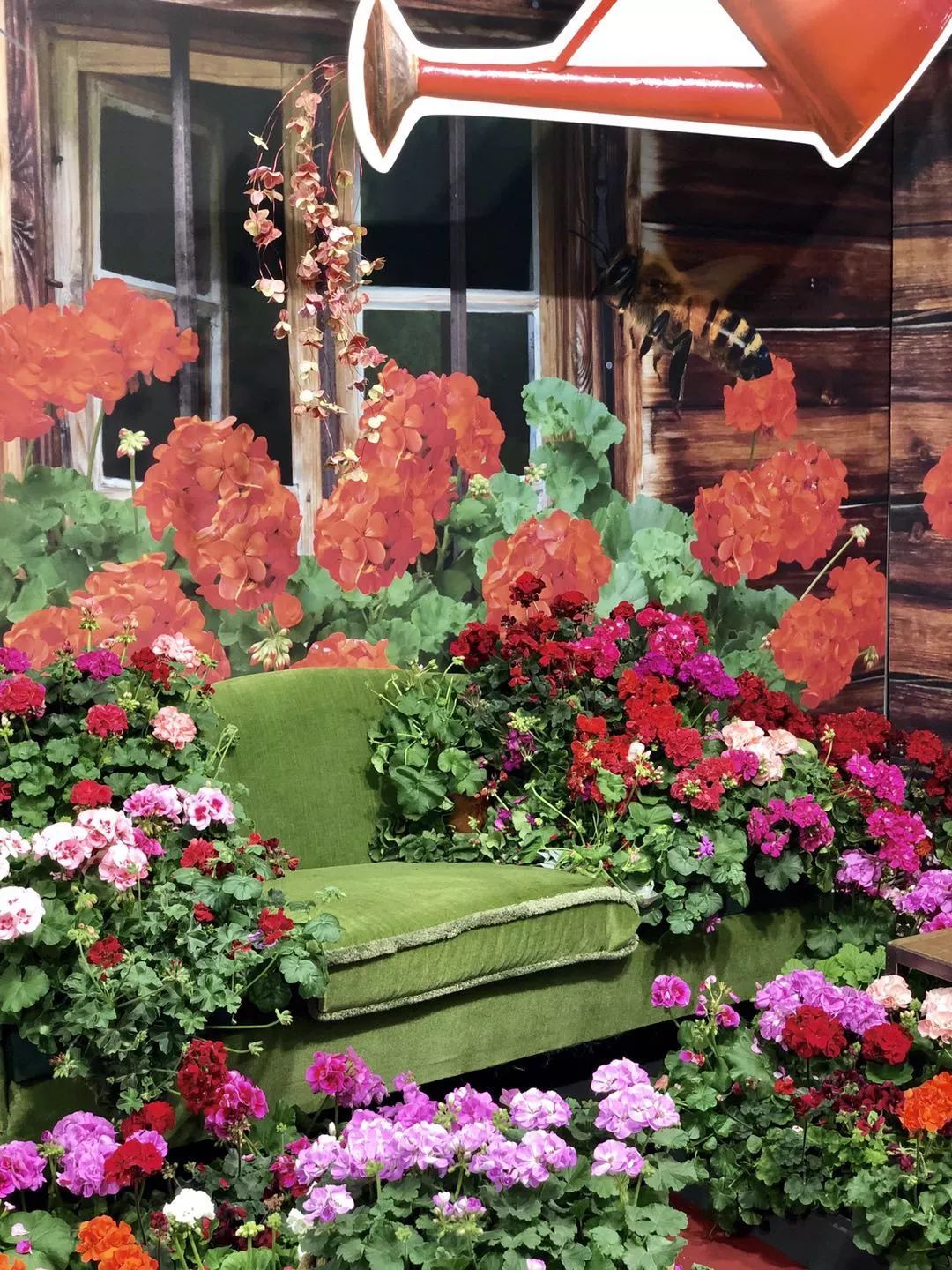 麻宁推荐|中国最时尚的未来花世界，拍照太出片了！