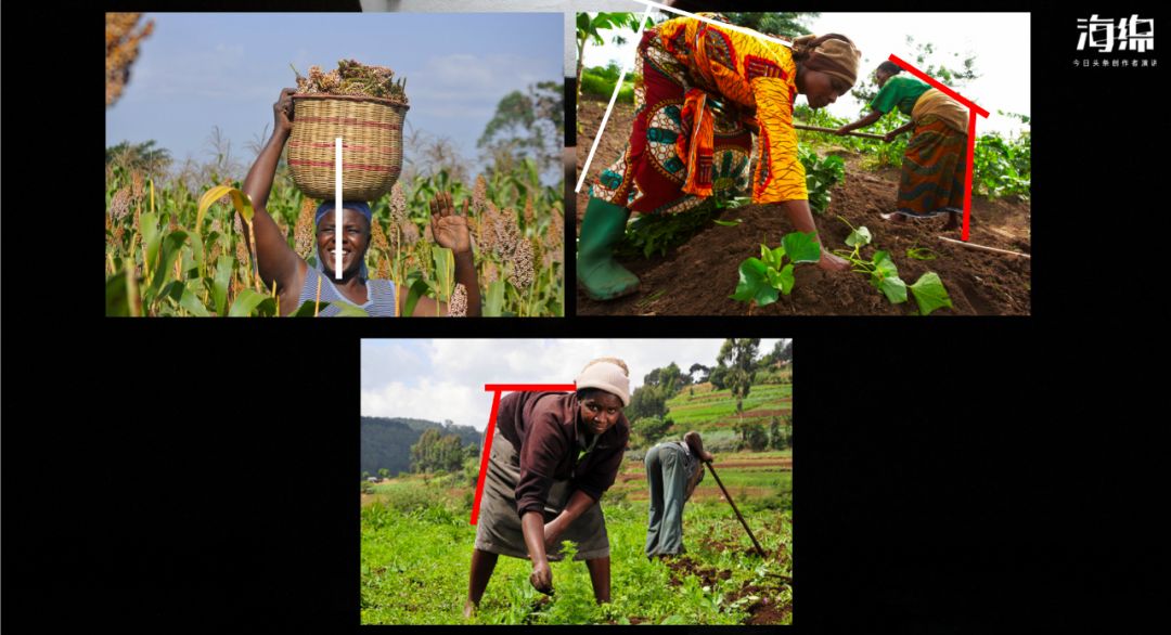 李哲老师解剖腹部肌肉,教你学解剖的李哲是什么人