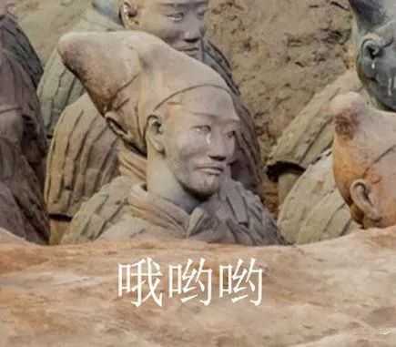 秦始皇兵马俑考古新发现,秦始皇兵马俑最新考古发现