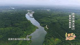 跟着我去旅行全集在线观看,跟着我去旅行原唱视频