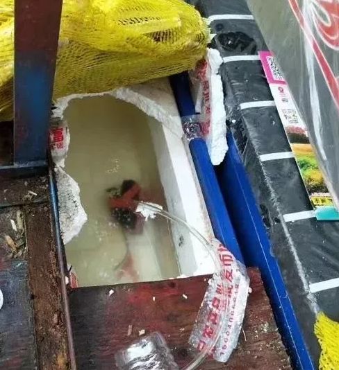 南充常见的这种东西，吃的要当心，发现霉变请立刻丢掉...