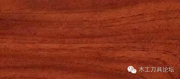 木材的种类及识别,常见木材的识别方法