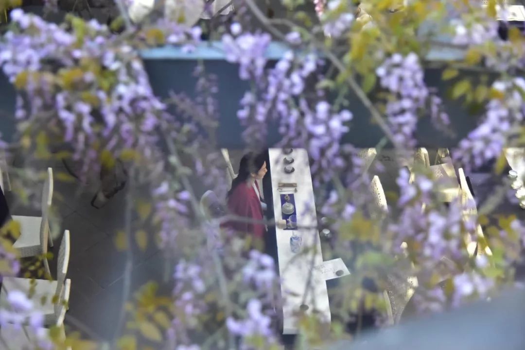 沙漠一年出现的奇观,沙漠黄河的奇景