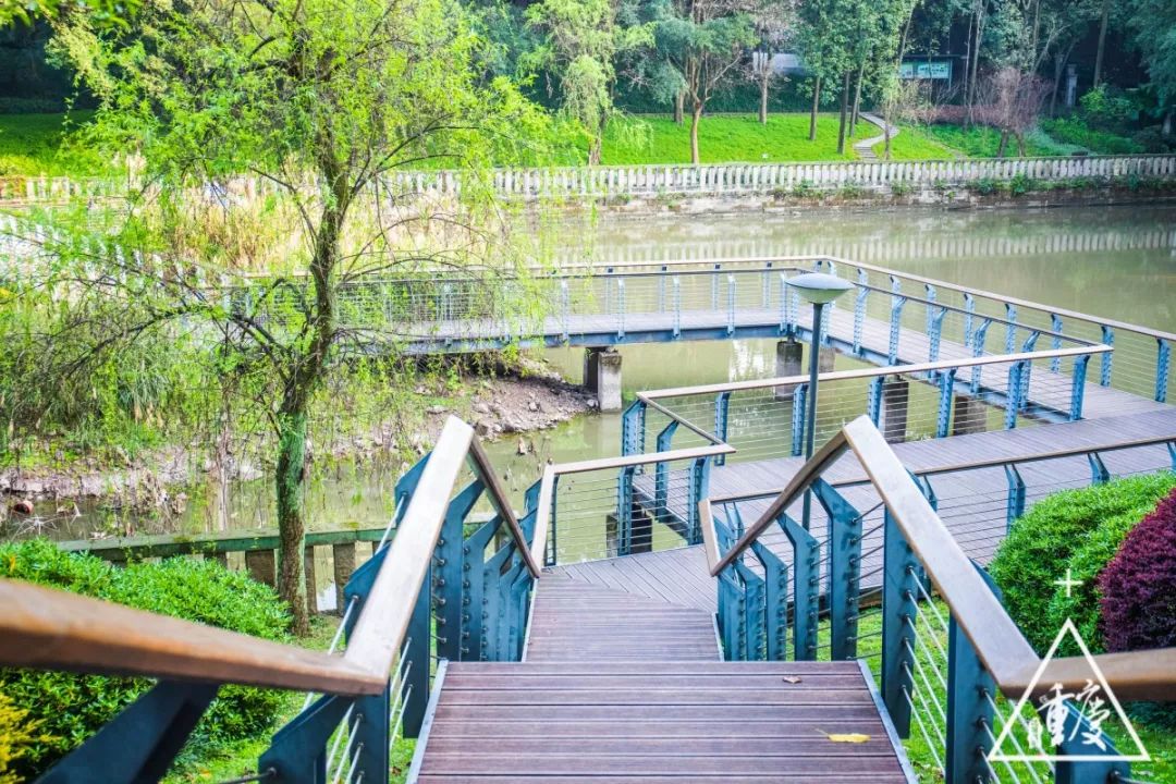 在重庆印象最深刻的是什么,考上重庆最好的南开中学