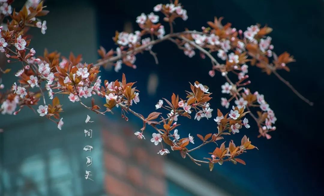 诗中春的意思,赞美四月天的经典诗句