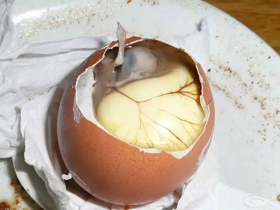 福建奇葩美食,福建十大奇葩菜