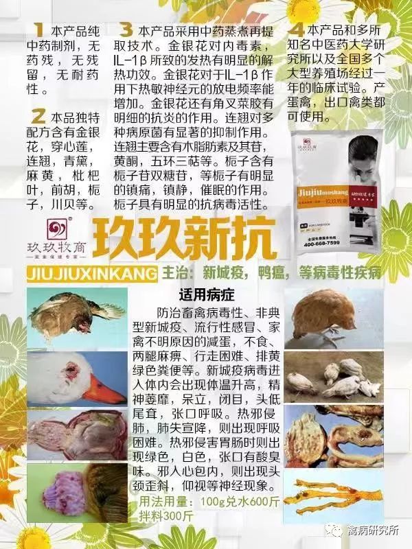 鹅副粘病毒病怎么防治,鹅预防病毒用什么药