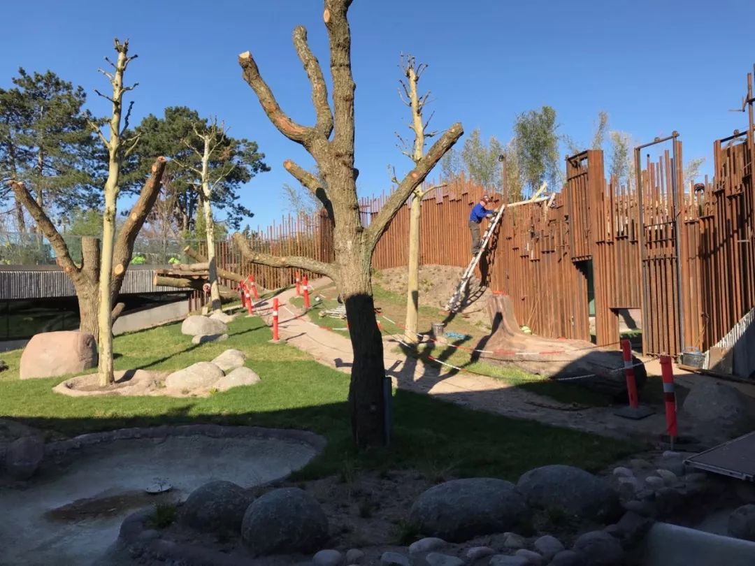 耗资1.5亿的阴阳太极状宫殿，毛二星二的丹麦新家也是太美好