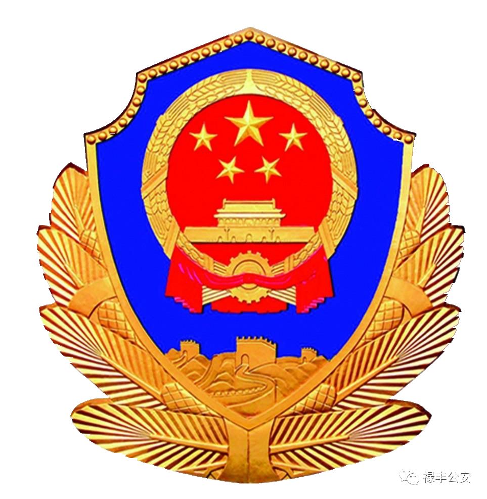 除黑涉恶案件宣判,除患治乱案2019