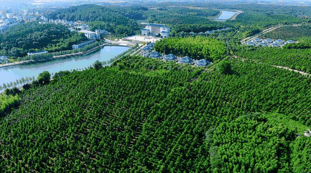 意大利有没有威尼斯这个地方,咸宁威尼斯