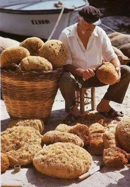 怎样清洗希腊天然海绵,希腊洗澡海绵使用小技巧