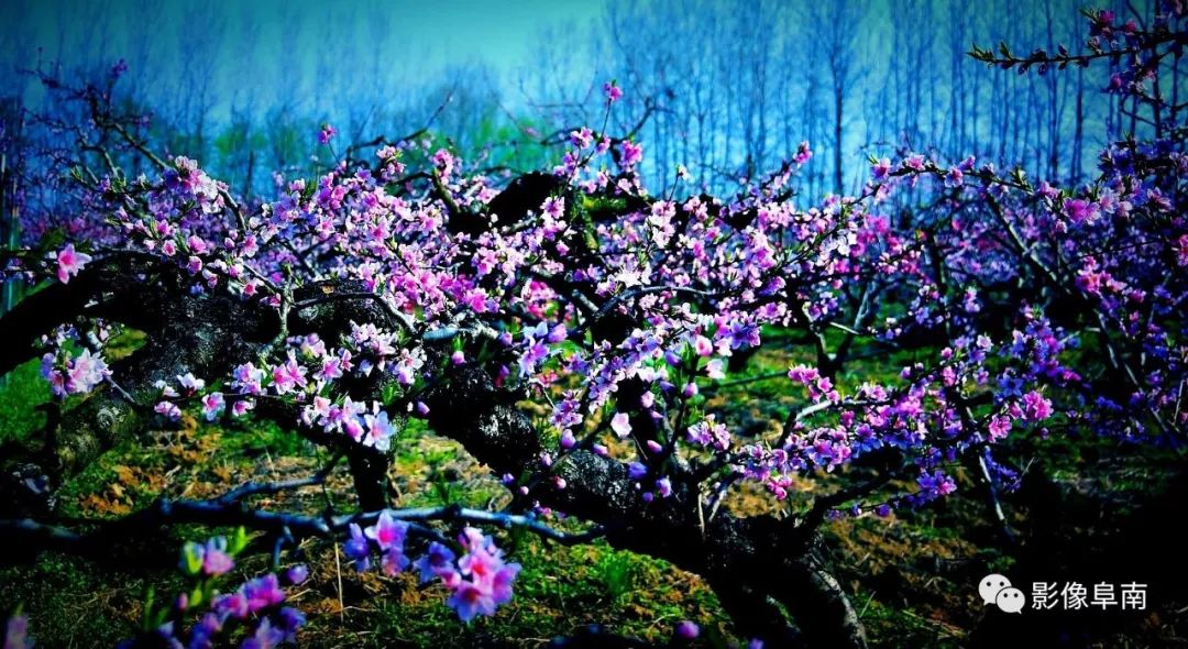 唯美视觉影像,影像的意境与情怀