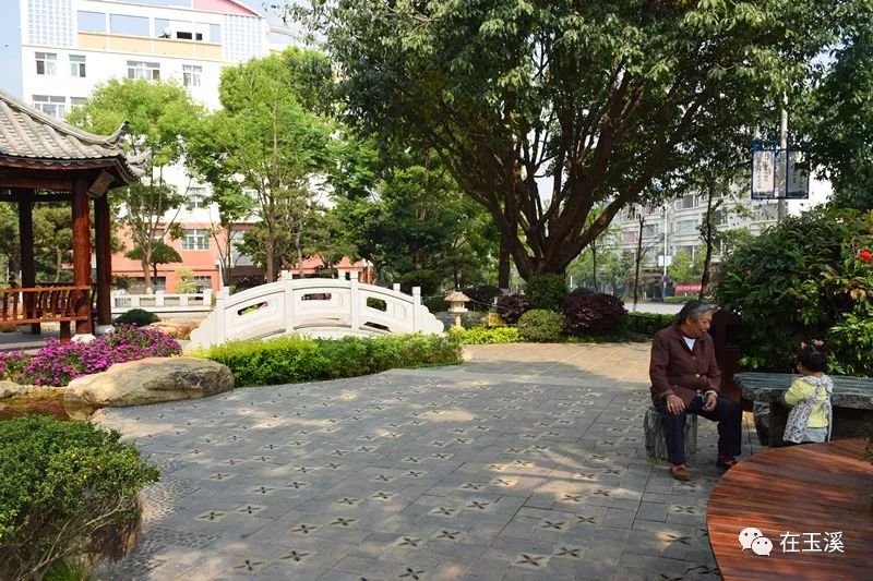 玉溪是一个好地方,玉溪滇中植物园是个美丽的大花园