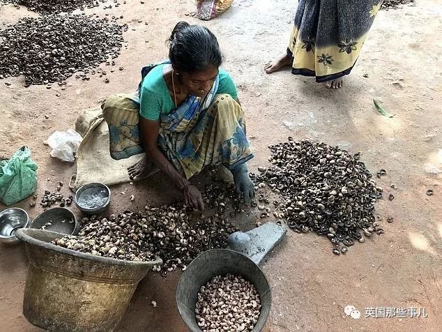 怎样才能正确的剥腰果,剥腰果有多困难