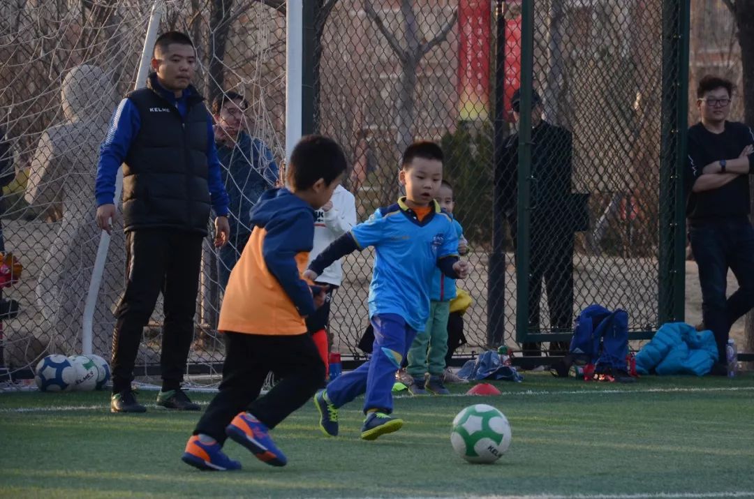 澶╂触娉拌揪鍘嗗勾鍓嶉攱,娉拌揪浠ュ墠鐨勯潚璁畧闂ㄥ憳鏁欑粌