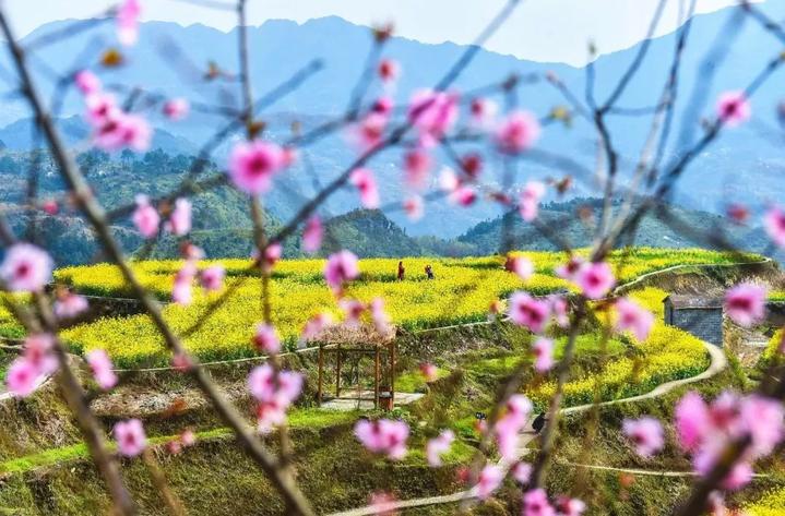 清明3天自驾游推荐路线,2024年清明高速免费时间