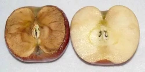 防晒敏感肌专用正品,十大公认敏感肌好用的防晒