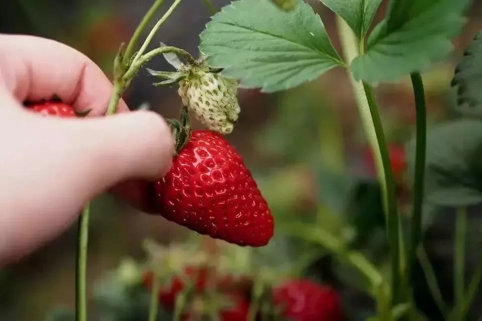 最新通告!清明假期,河北这些地儿不能去,因为……