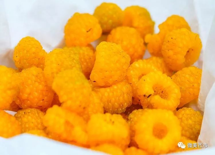 踏青赏花好时节与你共赴大自然,赏春踏青好时节