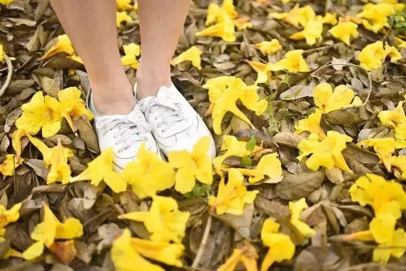 诏安小云水谣,诏安旅游团云水谣景区