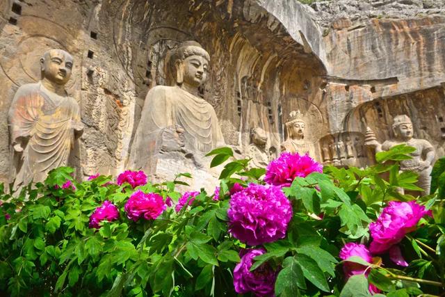 2024年洛阳清明假期游客接待量,洛阳清明假期三天地铁客流量