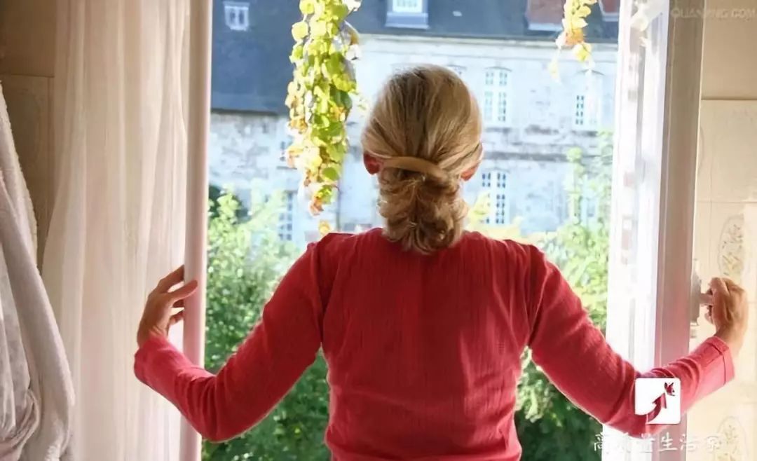 什么植物能吸收甲醛还能净化空气,吸甲醛最好的植物哪种排名第一