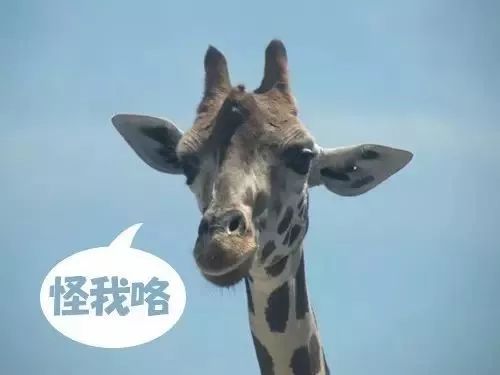 日本网友把这些汉字组合起来后,发现了不得了的事