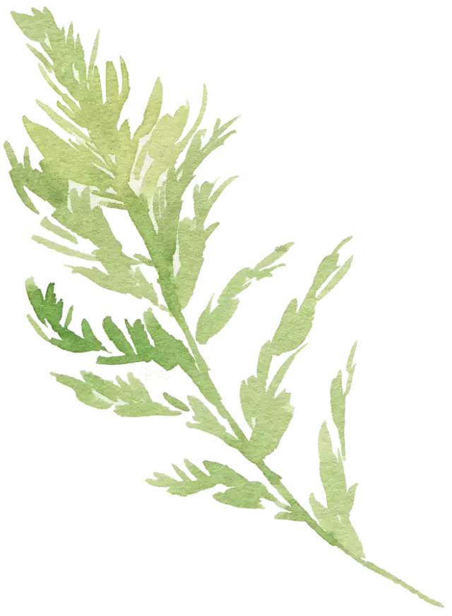 楠ㄧ鍖婚櫌鐨勭鎿嶄綔,绁炴搷浣滃彸鎵嬮鎶橀┚椹舵墜鍔ㄦ尅姹借溅