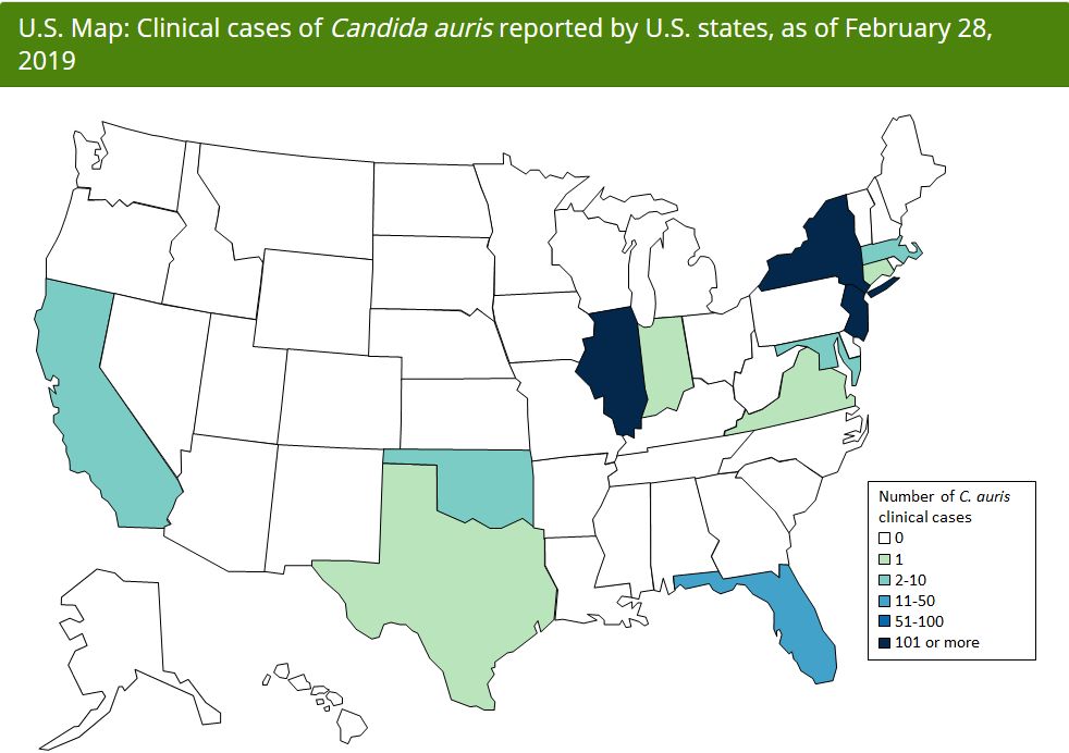 超级真菌致死率高达60%,真菌感染致死率